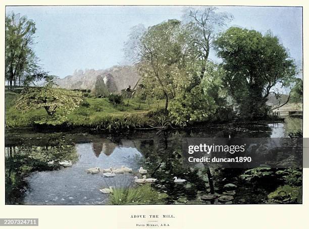 ducks on a watermill pond, above the mill, after the painting by david murray, victorian art, 1890s, 19th cetnury - watermill stock illustrations