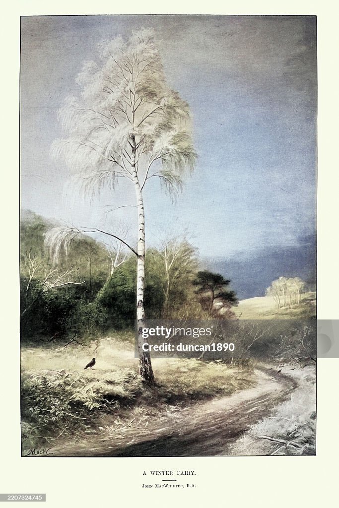 Crow by a silver birch tree, A Winter Fairy, after the painting by John MacWhirter, Victorian art, 1890s, 19th Cetnury