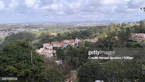 trees and townscape against sky - home tree maintenance stock pictures, royalty-free photos & images