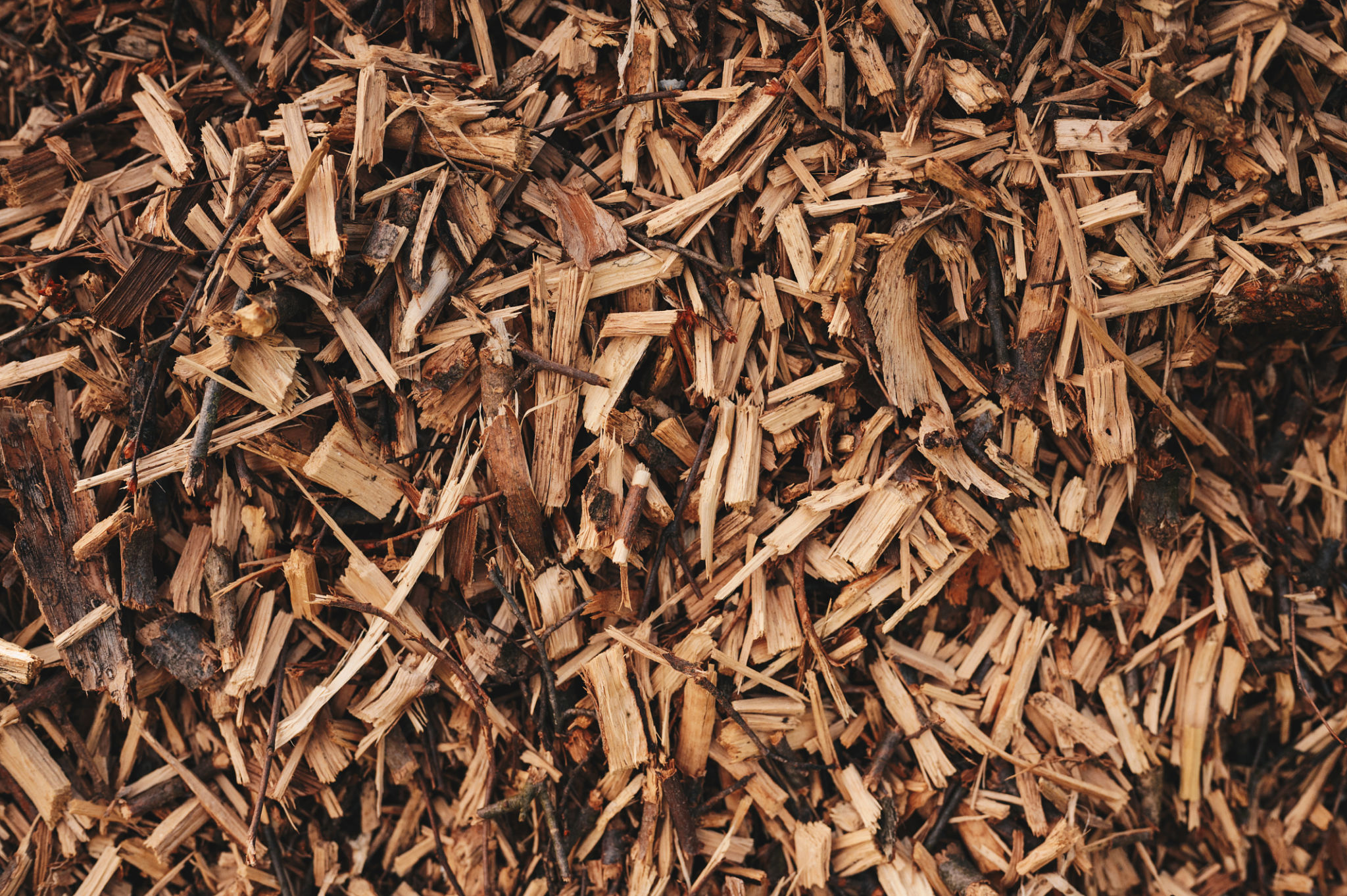 wood chips pellets