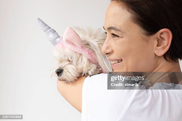 woman hugging dog in unicorn costume - maltese shih tzu stock pictures, royalty-free photos & images