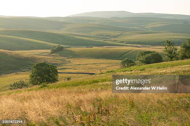 meadows in ribblesdale - nord photos et images de collection