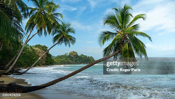 How to Plan a Perfect Costa Rica Vacation: Tips from Local Experts