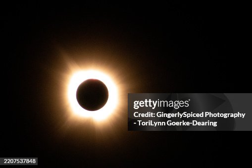 Total Eclipse Total Eclipse
