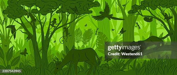ilustrações de stock, clip art, desenhos animados e ícones de illustration of a jungle landscape with various animals and lush greenery - ecossistema
