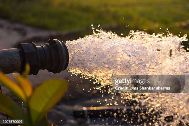 water jet streaming from irrigation pipe in golden light - wasserpumpe stock-fotos und bilder