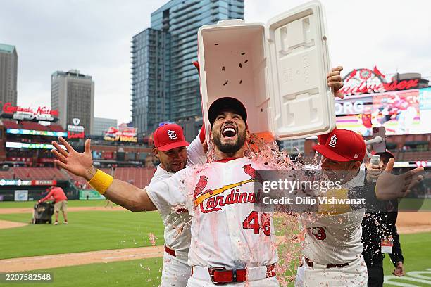 Willson Contreras and Pedro Pagés both of the St. Louis Cardinals dump a cooler on Iván Herrera of the St. Louis Cardinals after Herrera hit three...