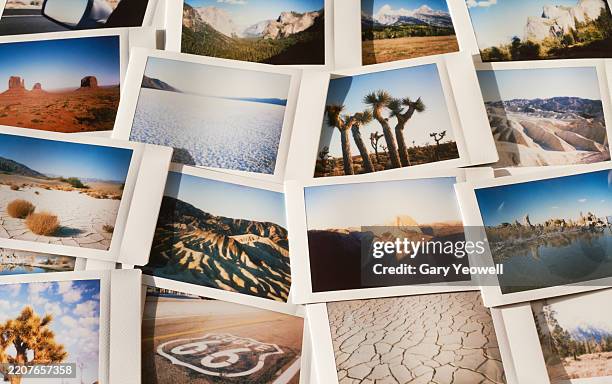 collection of instant film photos laid out on a table - mono county stock pictures, royalty-free photos & images