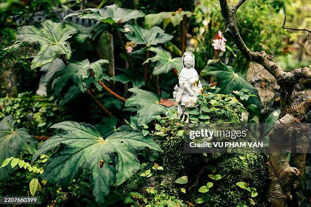 sitting buddha statue on the rock at buddhist temple in central vietnam - hirshhorn-museum-and-sculpture-garden stock pictures, royalty-free photos & images