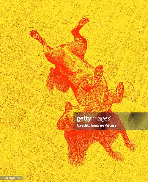 happy australian cattle dog rolling on back - dog lying on back stock illustrations