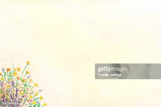 vector illustration - beautiful flowers. textured effect. watercolor. copy space. - watercolor orange flower stock illustrations