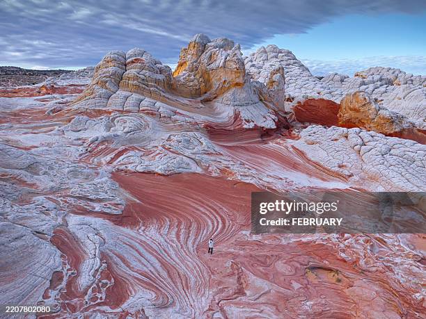 landscape of white pocket, vermilion cliffs national monument, arizona 1 - tipo de roca fotografías e imágenes de stock