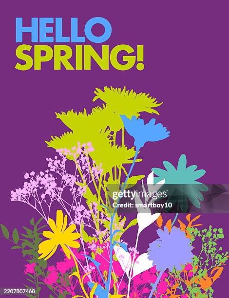 ilustraciones, imágenes clip art, dibujos animados e iconos de stock de hello spring! - hello spring