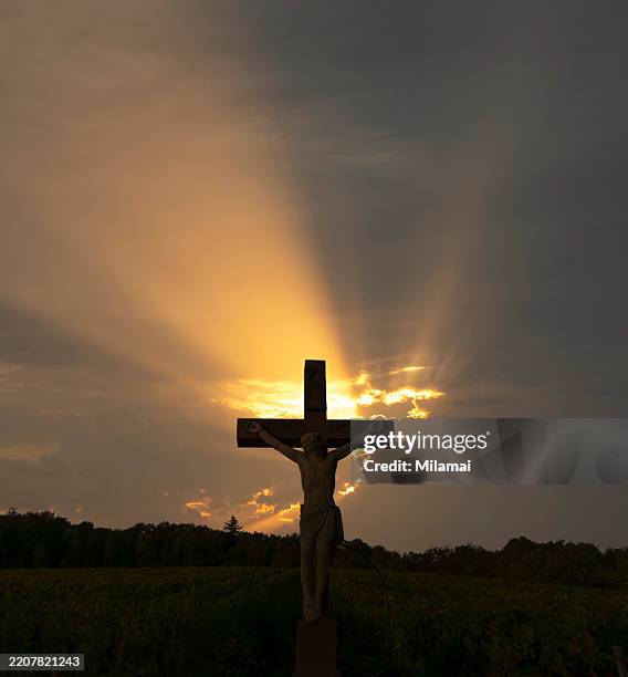 3,678 Cross Beams Stock Photos, High-Res Pictures, and Images
