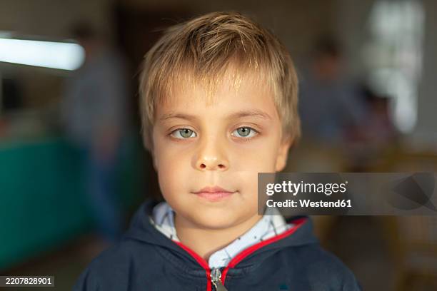 portrait of little boy sitting with green eyes - green eyes stock pictures, royalty-free photos & images