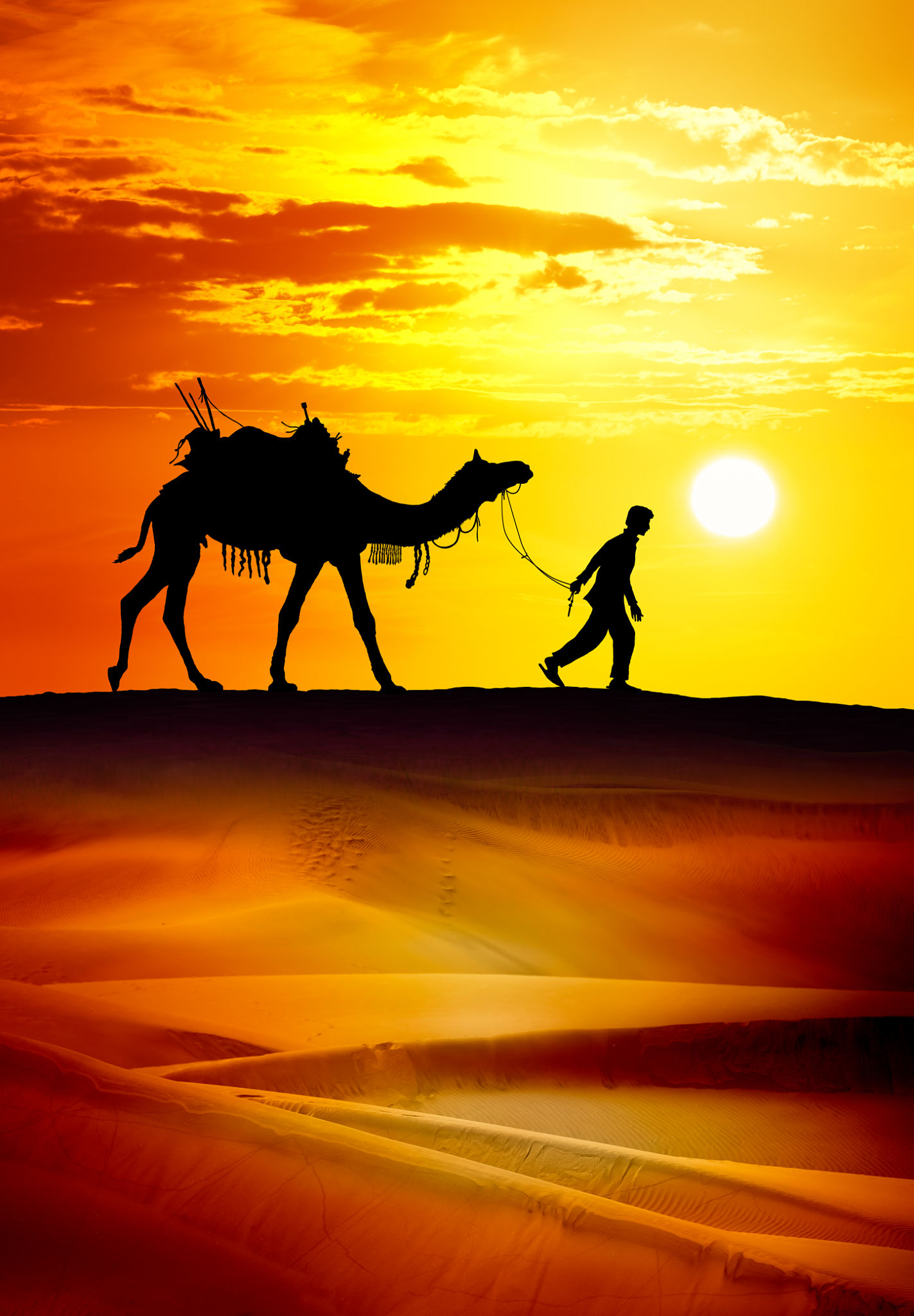 camel caravan
