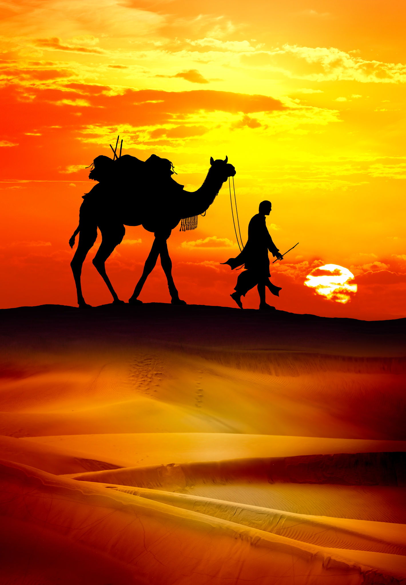 bedouin culture