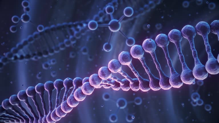 https://media.gettyimages.com/id/2207855209/video/dna-molecule-helix-loopable-4k-resolution.jpg?b=1&s=640x640&k=20&c=EOpFnMnpsEfgJ9ofZQFc7MhCmVY25RCGWN_z4vDoS-g=