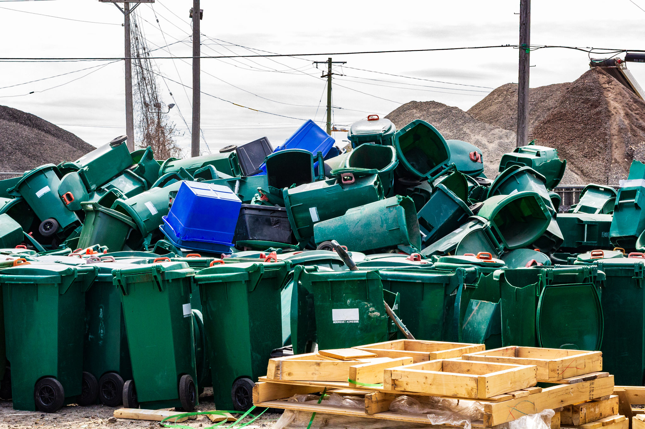 garden waste sorting