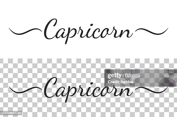 capricorn - calligraphy text with swashes on blank background - capricorn vector stock illustrations