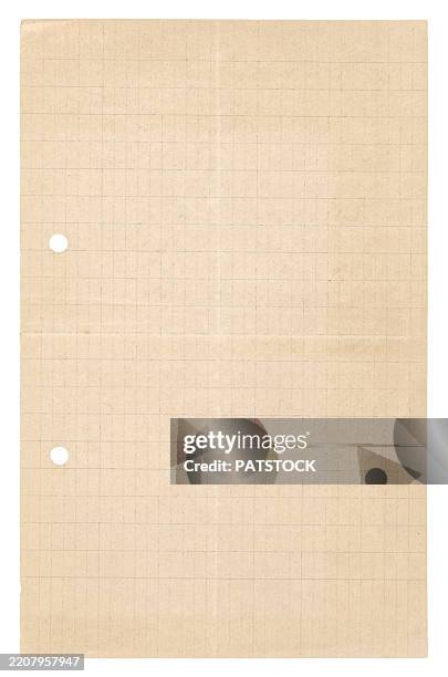 blank beige gridded paper sheet with holes for binding - perforated paper stock pictures, royalty-free photos & images