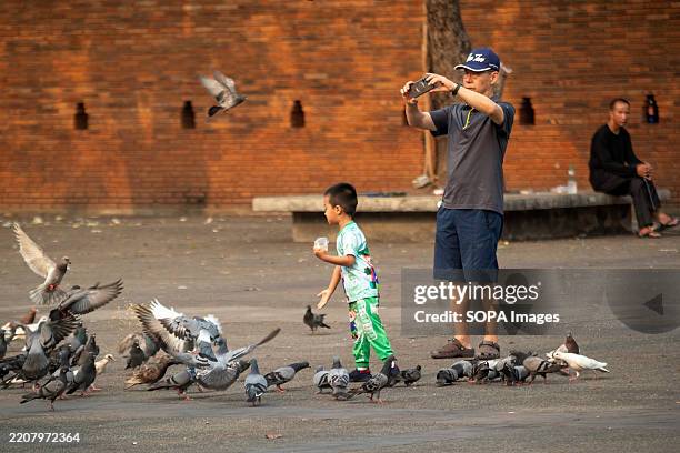 Boy is seen feeding pigeons at Tha Phae Gate. Tha Phae, one of Chiang Mai's important landmarks, offers a glimpse into the daily life of both locals...