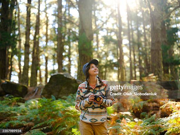 cheerful woman looking for inspiration with camera in sun-lit forest on madeira island - sertão imagens e fotografias de stock