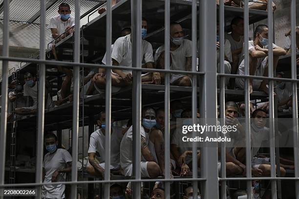 Gang members seen in a cell at the Terrorism Confinement Center in Tecoluca, in San Vicente, El Salvador on April 04, 2025. The Cecot prison was...
