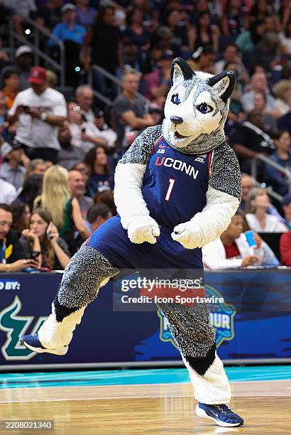 Jonathan the UConn Huskies mascot during the 2025 NCAA Div I Women's Championship Final Four game between UConn Huskies and UCLA Bruins on April 4 at...