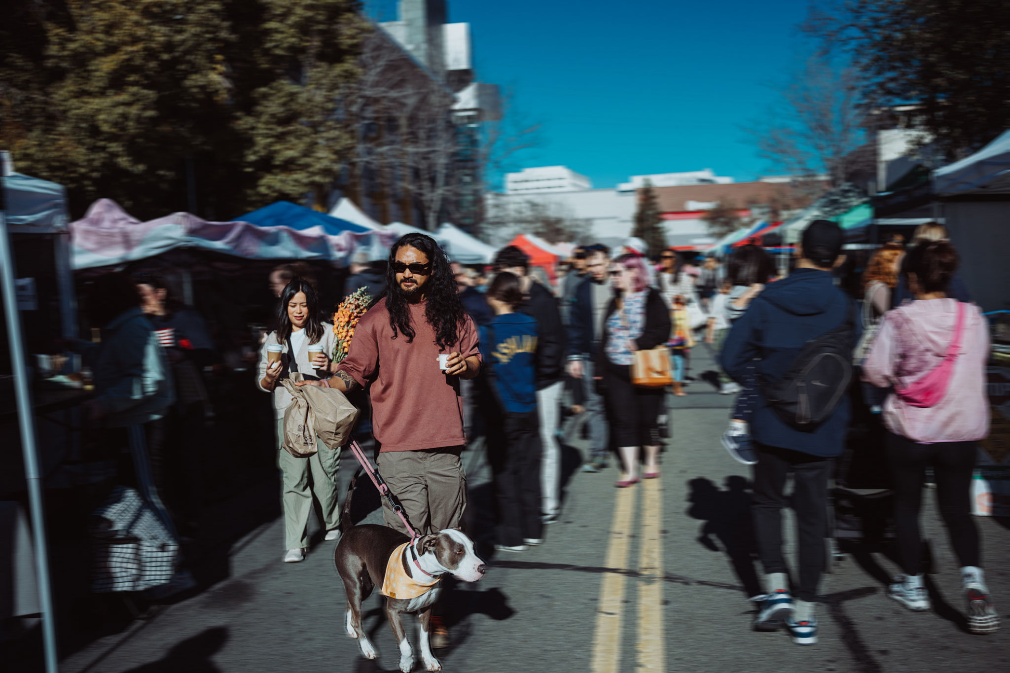 dog community