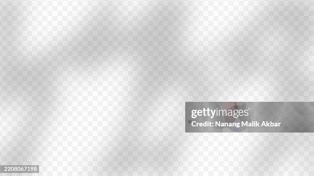 tree and leaf shadow overlay with transparent background - tree shadow wall stock illustrations