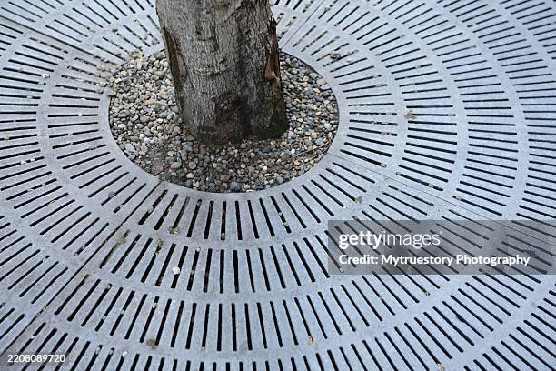 Tree Root Protection Grating 169 Steel Floor Grating Stock Photos, High-Res Pictures, and Images ...