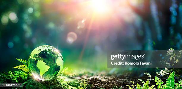 Earth Day - Glass Globe In Green Forest On Moss And Fern - Environment Concept - Defocused Abstract Background
