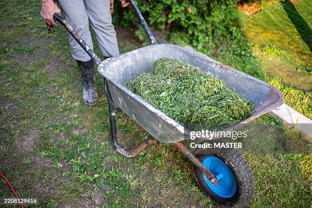 senior woman wheelbarrow with sand and shovel in garden - fertilizer stock pictures, royalty-free photos & images
