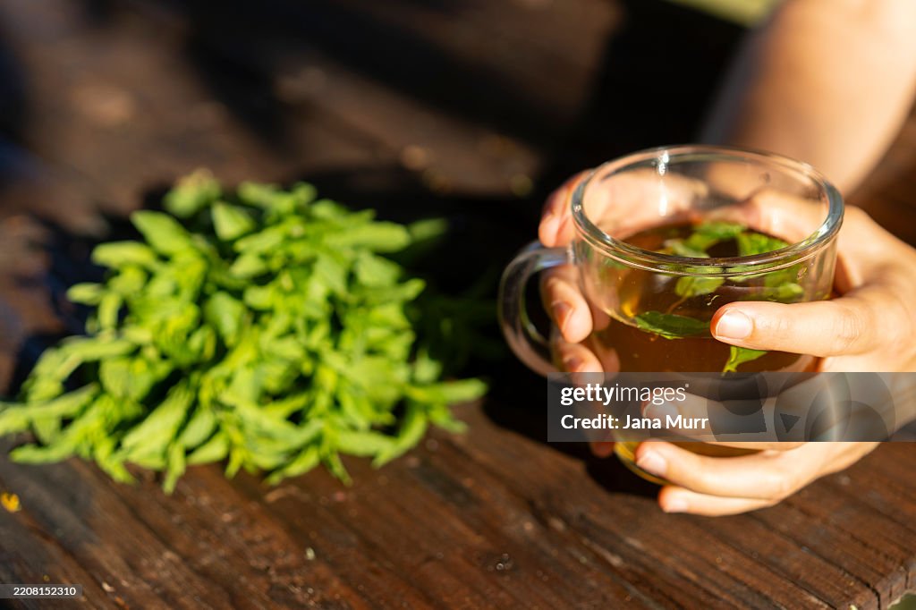 Pessoa segurando chá de hortelã com folhas frescas na mesa
