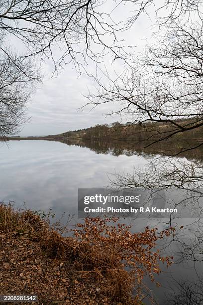 fernilee reservoir, whaley bridge, derbyshire, england - peak district national park spring stock pictures, royalty-free photos & images