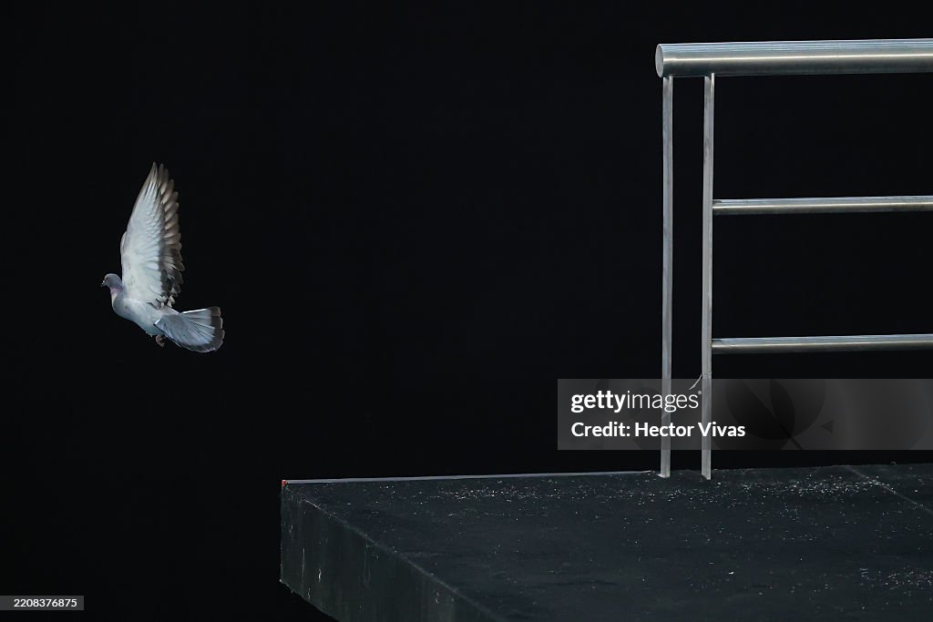 World Aquatics Diving World Cup 2025 Stop 1 - Day 1