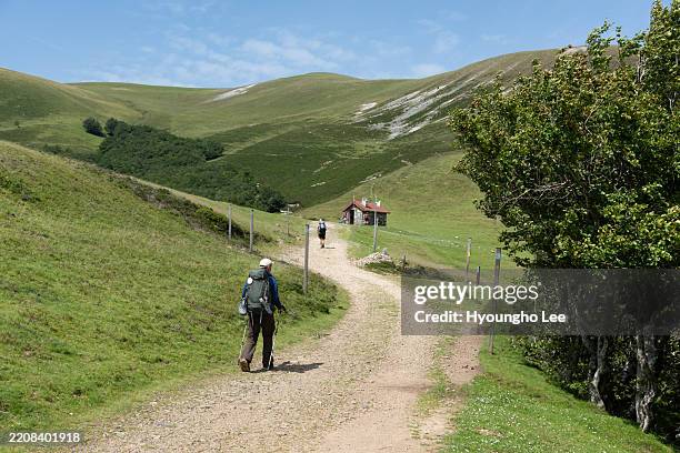 pilgrims on the st. james' way in the pyrenees from saint-jean-pied-de-port - pilgrimage stock pictures, royalty-free photos & images