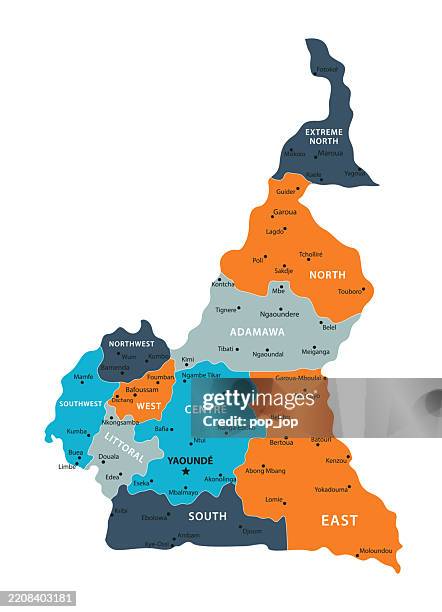 cameroon - vector map. color map of the cameroon - cameroon city stock illustrations