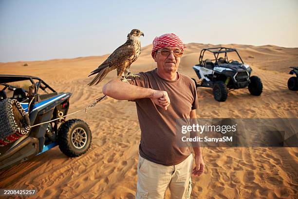 senior man holding falcon in dubai desert - falconry stock pictures, royalty-free photos & images