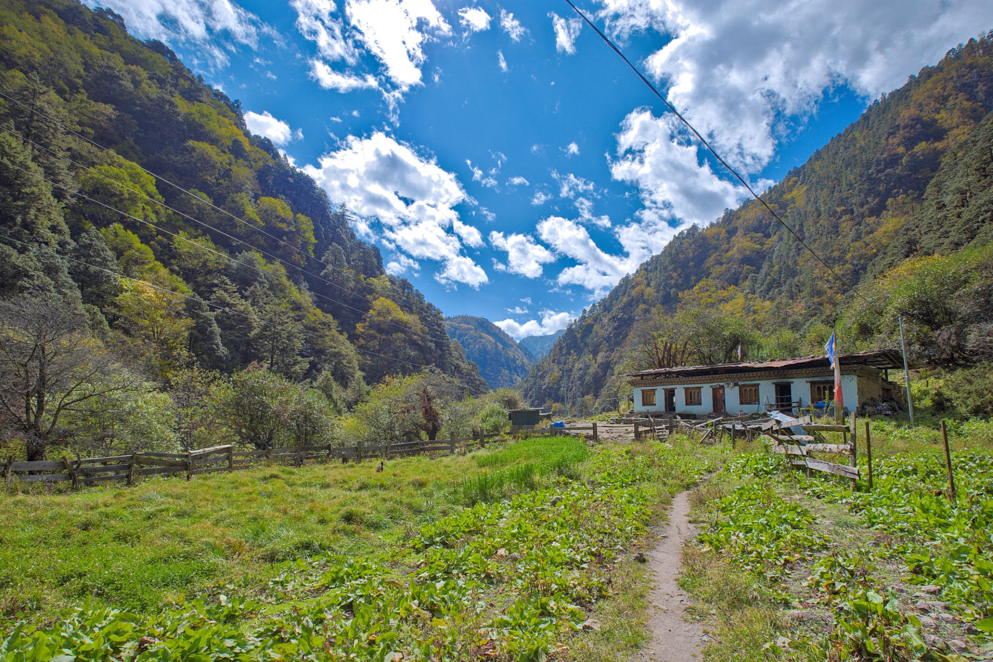 bhutan community