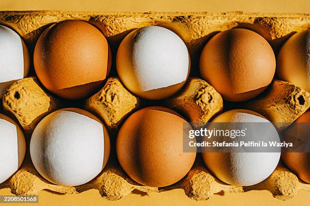a carton holds a dozen eggs - cholesterol stockfoto's en -beelden