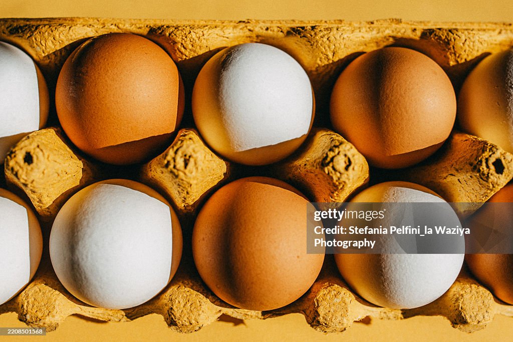A carton holds a dozen eggs