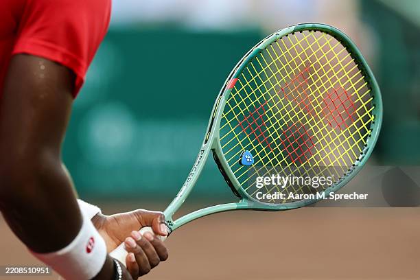 Tennis Racket Against Insaects 1,284 Parts Of A Tennis Racket Stock Photos, High-Res Pictures, and ...