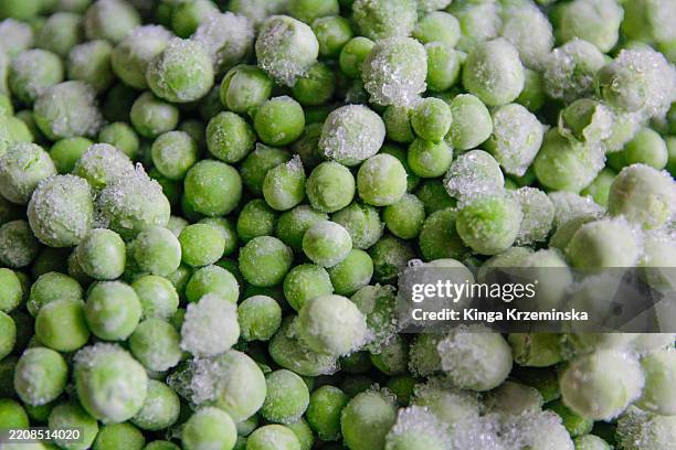 frozen pea - comida congelada fotografías e imágenes de stock