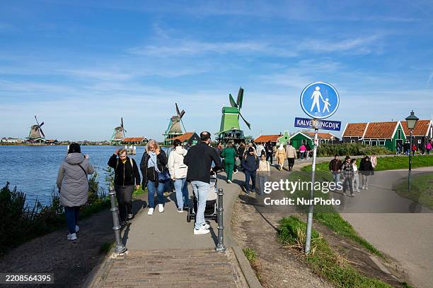Traditional Dutch windmills of the Zaanse Schans open air museum preserving the architecture and culture of the wind mills and residential area of...