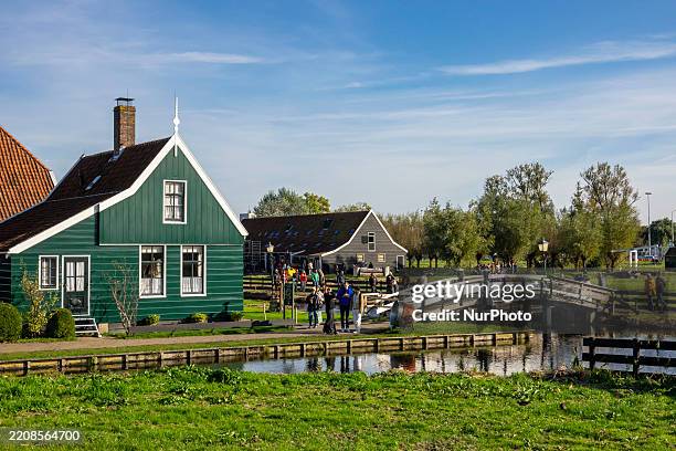 Traditional Dutch windmills of the Zaanse Schans open air museum preserving the architecture and culture of the wind mills and residential area of...