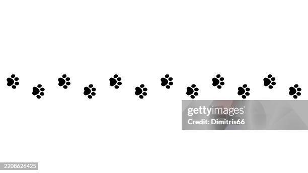 nahtloser pfotenabdruckpfad - raubkatze stock-grafiken, -clipart, -cartoons und -symbole