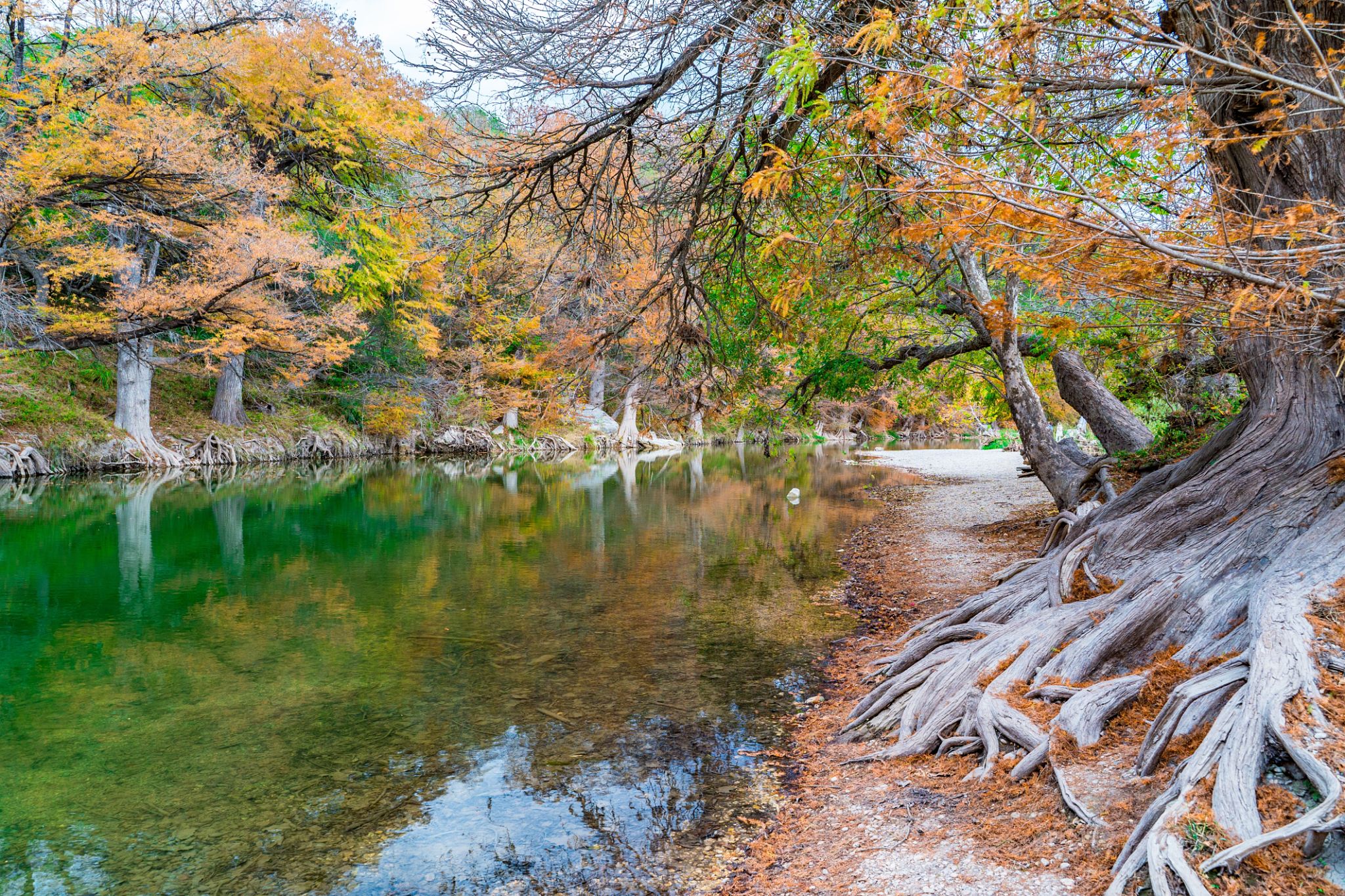 autumn texas