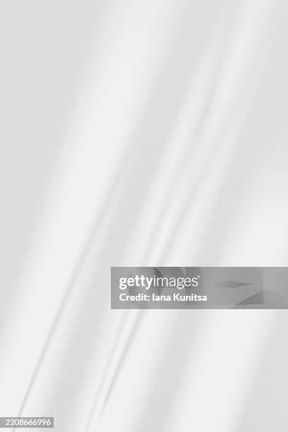 minimalist 3d background with soft natural light and shadows on white monochrome wall. abstract vertical composition, design element. empty space for presentation products, place for text. copy space. - iluminación gobo fotografías e imágenes de stock